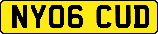 NY06CUD