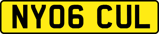 NY06CUL