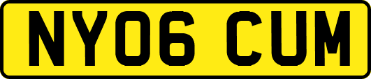 NY06CUM