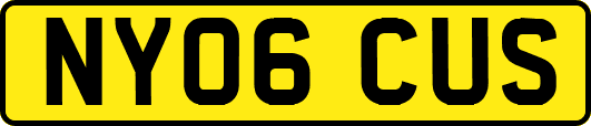 NY06CUS