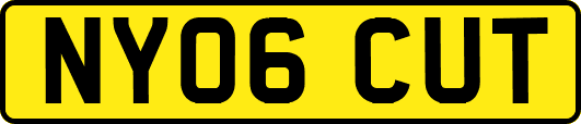 NY06CUT