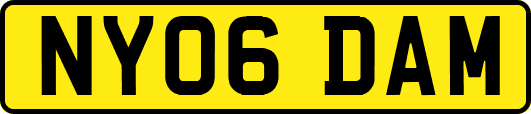 NY06DAM