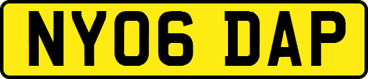 NY06DAP