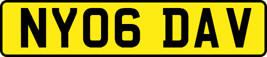 NY06DAV