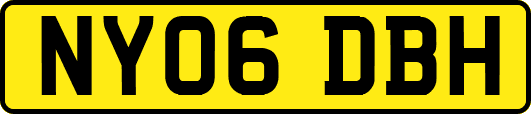 NY06DBH
