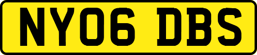 NY06DBS