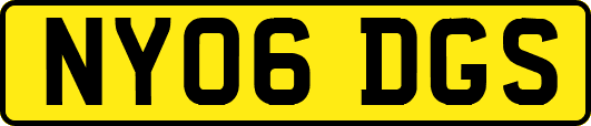 NY06DGS