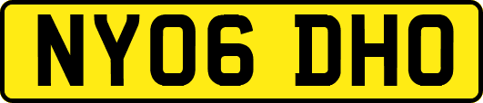 NY06DHO