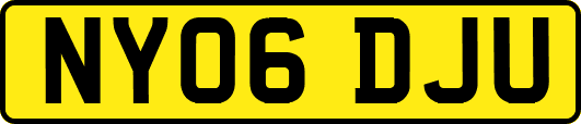 NY06DJU