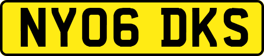 NY06DKS