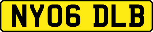 NY06DLB