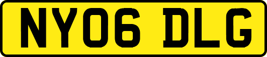 NY06DLG