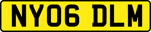 NY06DLM