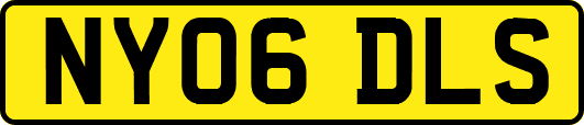 NY06DLS