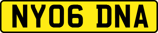 NY06DNA
