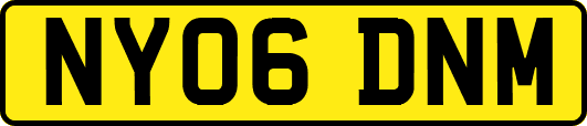 NY06DNM