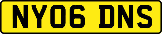NY06DNS