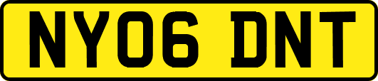 NY06DNT