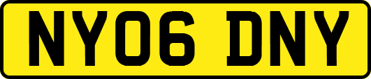 NY06DNY