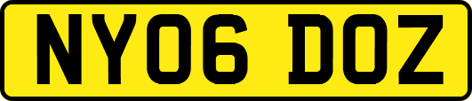 NY06DOZ
