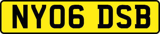 NY06DSB