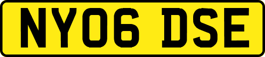NY06DSE