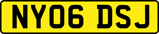 NY06DSJ