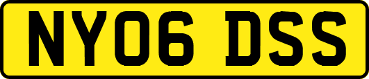 NY06DSS
