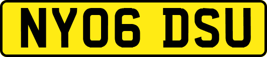 NY06DSU