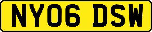 NY06DSW