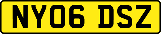 NY06DSZ