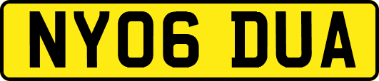 NY06DUA