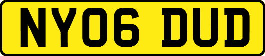 NY06DUD