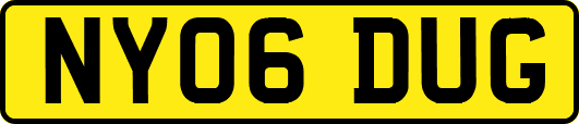 NY06DUG