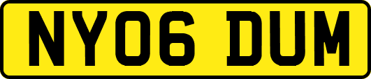 NY06DUM