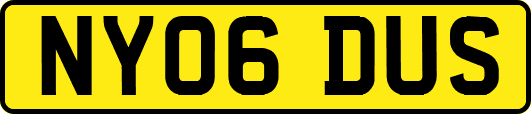 NY06DUS