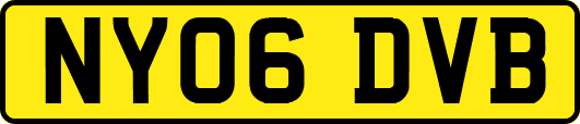 NY06DVB