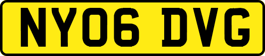 NY06DVG