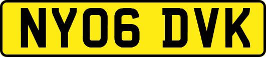 NY06DVK