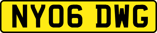 NY06DWG