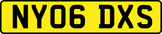 NY06DXS