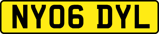 NY06DYL