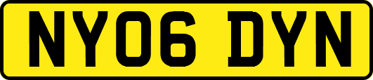 NY06DYN