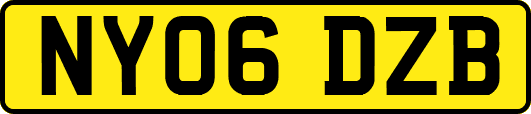 NY06DZB