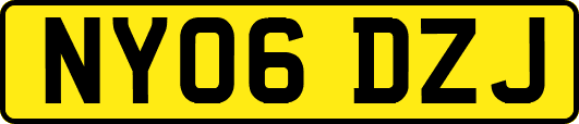 NY06DZJ