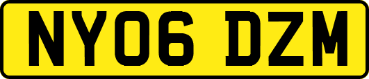 NY06DZM