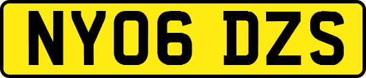 NY06DZS