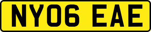 NY06EAE