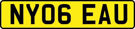 NY06EAU