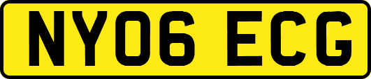 NY06ECG